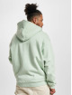 Karl Kani Hoodie Chest Signature Essential grön