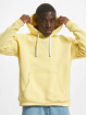 Karl Kani Hoodie Small Signature Essential gul