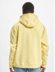 Karl Kani Hoodie Small Signature Essential gul
