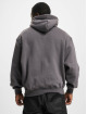 Karl Kani Hoodies Small Signature Heavy grå