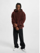 Karl Kani Hoodies Metal Signature rød