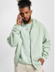 Karl Kani Hoodies Chest Signature Essential zelený