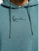 Karl Kani Hoodies Small Signature Destroyed zelený