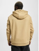 Karl Kani Hoody Small Signature Essential bruin