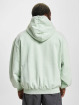 Karl Kani Hoody Small Signature Oversized Heavy groen