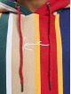 Karl Kani Hupparit Small Signature Stripe OS kirjava