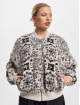 Karl Kani Pilottitakit Metal Signature Paisley Teddy beige