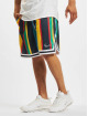 Karl Kani Short Small Signature Stripe multicolore