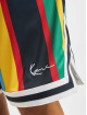 Karl Kani Short Small Signature Stripe multicolore