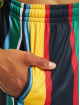 Karl Kani Short Small Signature Stripe multicolore