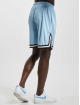 Karl Kani shorts Small Signature Essential Mesh blauw
