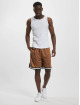 Karl Kani shorts Small Signature Essential Mesh bruin