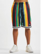 Karl Kani Shorts Small Signature Stripe bunt