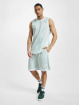 Karl Kani shorts Retro Pinstripes Mesh groen