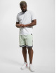 Karl Kani shorts Small Signature Essential Mesh groen