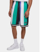 Karl Kani Shorts Varsity Striped Mesh grön