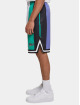 Karl Kani Shorts Varsity Striped Mesh grön