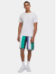 Karl Kani Shorts Varsity Striped Mesh grön