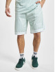 Karl Kani Shorts Retro Pinstripes Mesh verde