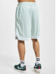 Karl Kani Shorts Retro Pinstripes Mesh verde