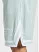 Karl Kani Shorts Retro Pinstripes Mesh verde