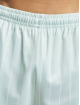 Karl Kani Shorts Retro Pinstripes Mesh verde