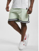 Karl Kani Shorts Small Signature Essential Mesh verde
