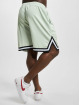 Karl Kani Shorts Small Signature Essential Mesh verde