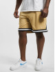 Karl Kani Shortsit Small Signature Essential Mesh ruskea