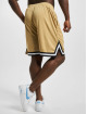 Karl Kani Shortsit Small Signature Essential Mesh ruskea