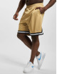 Karl Kani Shortsit Small Signature Essential Mesh ruskea