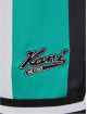 Karl Kani Shortsit Varsity Striped Mesh vihreä