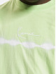 Karl Kani T-paidat Small Signature Stripe vihreä