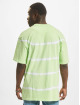 Karl Kani T-Shirt Small Signature Stripe green