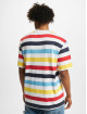 Karl Kani T-shirt Signature Stripe variopinto