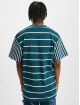 Karl Kani T-Shirt Small Signature Block Stripe vert