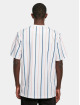 Karl Kani T-shirts Small Signature Pinstripe mangefarvet