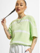 Karl Kani T-skjorter Small Signature Stripe grøn