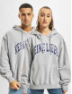 Keine Liebe Hoodie Bruno grey