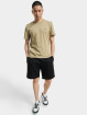 Lacoste Classic t-shirt Ras Du Cou Manc bruin