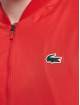 Lacoste Collegepuvut Block kirjava