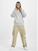 Lacoste Hoody Sport grau
