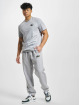 Lacoste Pantalón deportivo Fleece gris