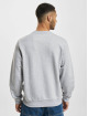 Lacoste Puserot Sweatshirt hopea
