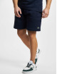 Lacoste Shorts Regular Fit blau