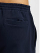 Lacoste Shorts Regular Fit blu
