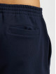 Lacoste Shorts Regular Fit blå