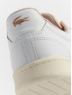 Lacoste Sneakers Carnaby SFA hvid