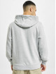 Lacoste Sweat capuche Sport gris