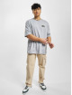 Lacoste T-paidat Logo harmaa